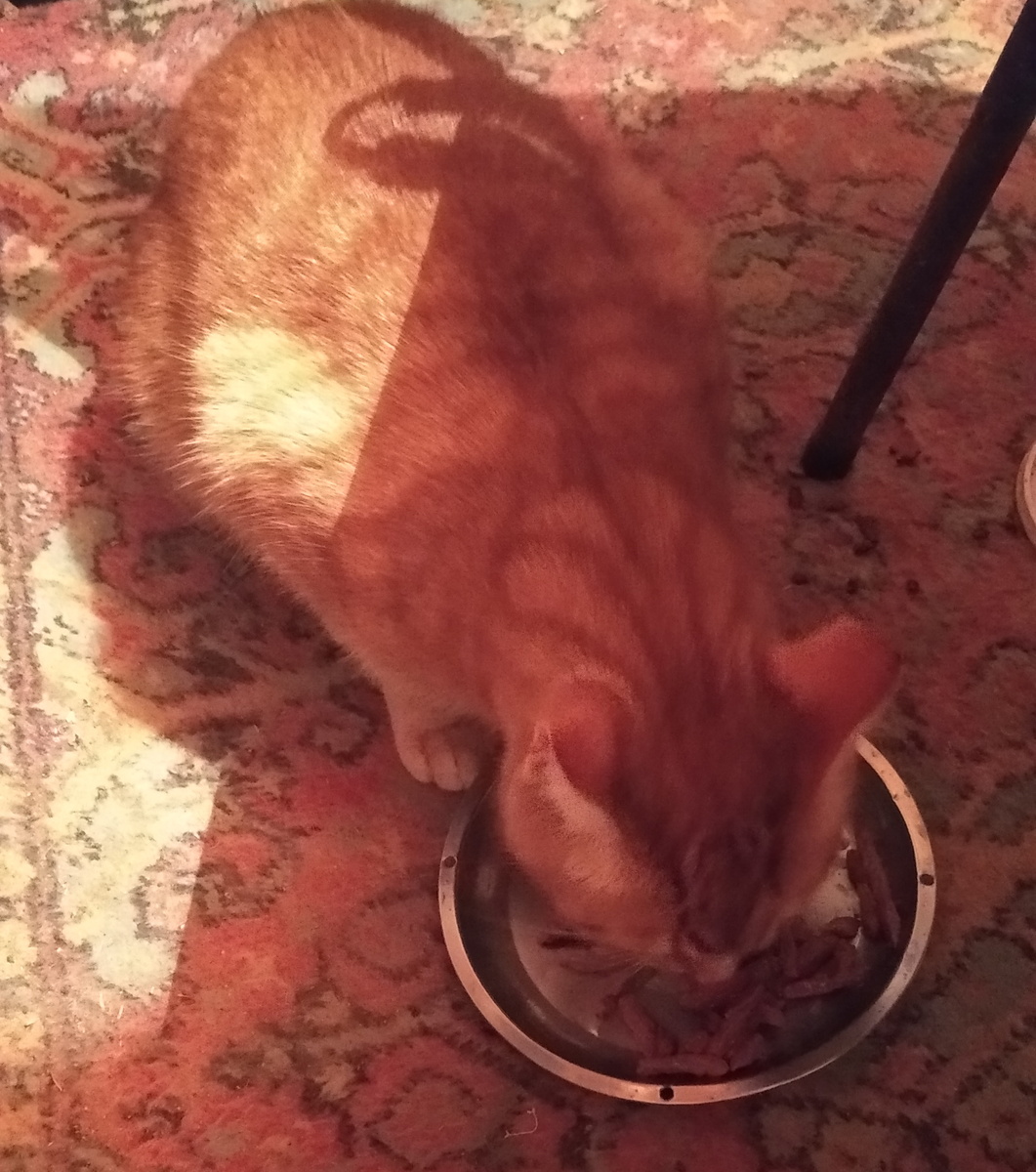 Личное фото