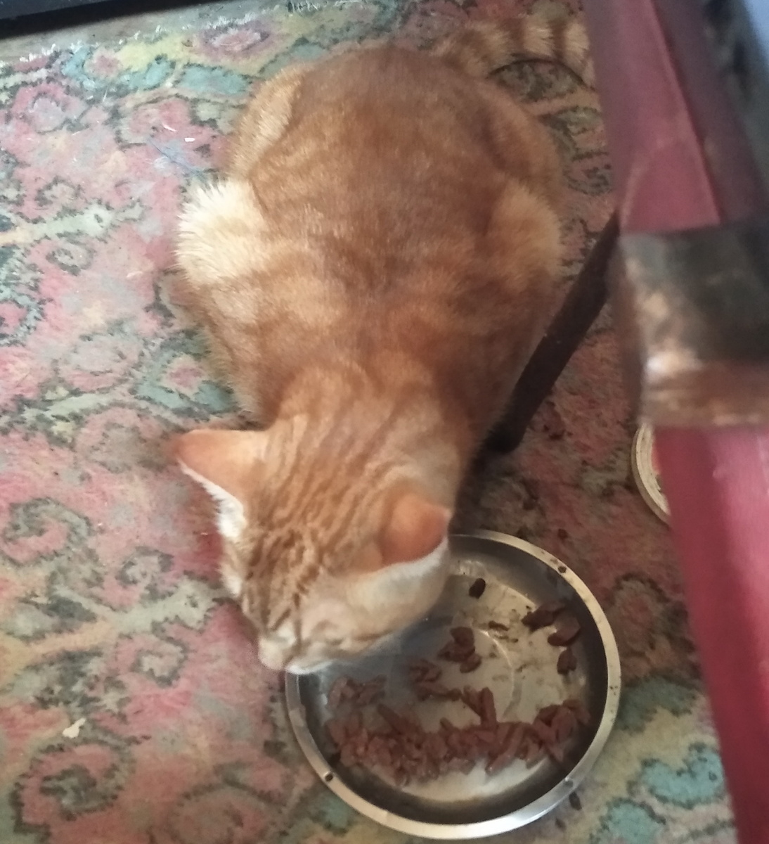 личное  фото