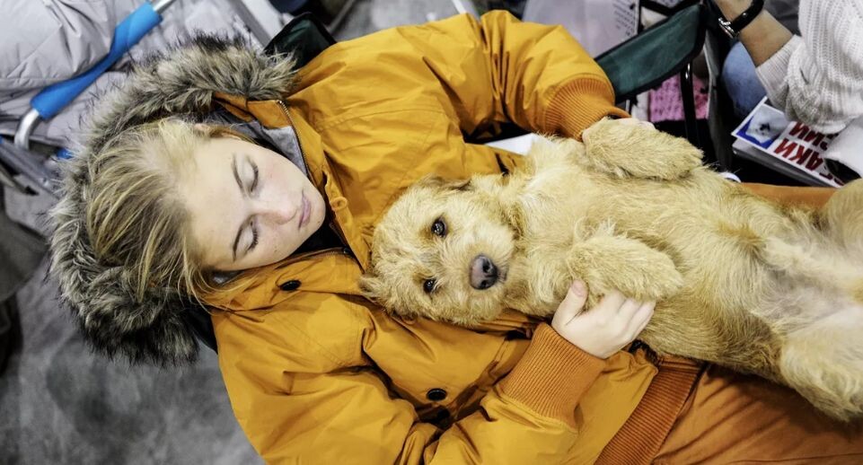    РИА «Новости»