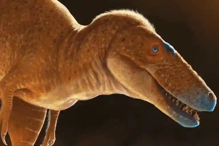    Кадр из видео Пищеблок