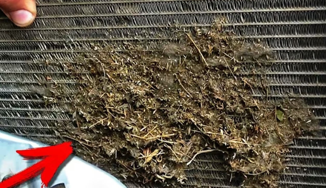 Сайт: kuzovokspb.ru