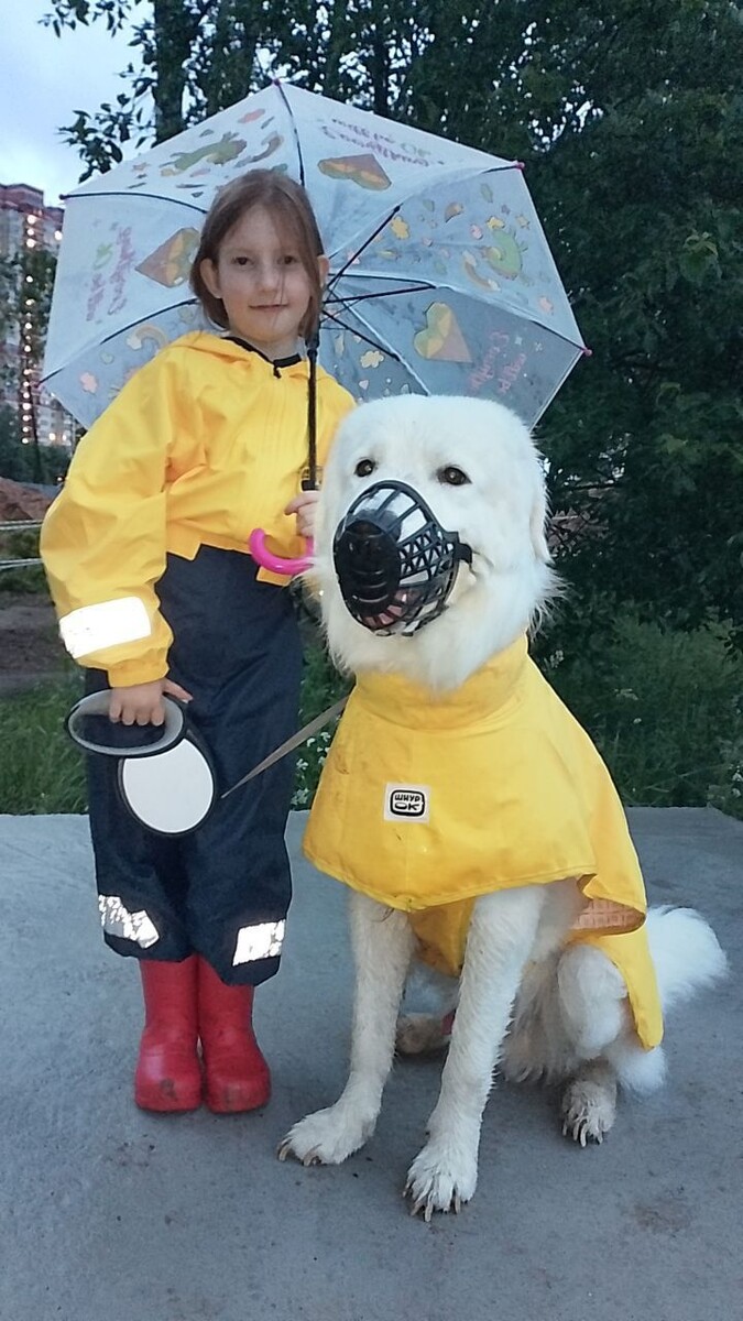 Лучше друзья навсегда ❤️