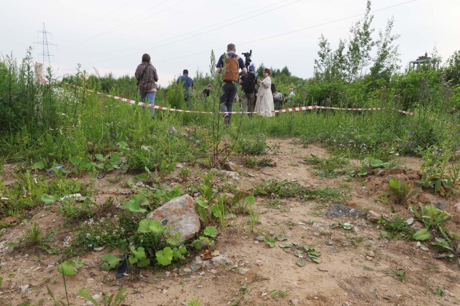    Наталья Шатохина/NEWS.ru