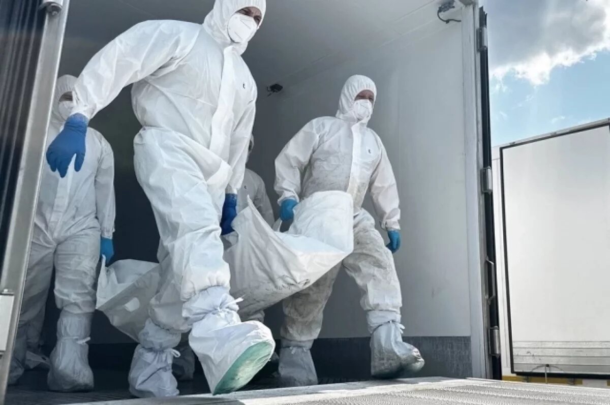    Депутат Рады Скороход заявила, что ВСУ несут «сумасшедшие» потери