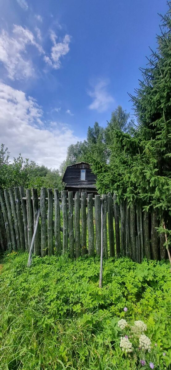 Фото из архива автора 