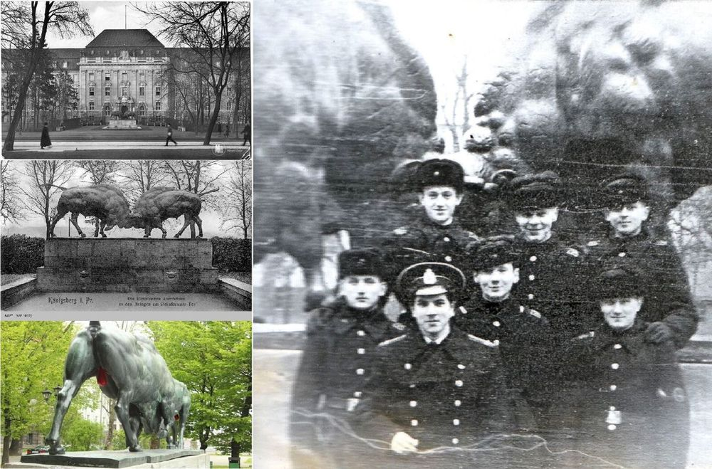 Фотоиллюстрация из первого тома ДМБовского альбома автора: Слева вверху: Здание Верховного суда Восточной Пруссии и административного суда на Хуфеналлее у Штайндамских ворот в Кёнигсберге, в котором во времена гитлеровской Германии, якобы, располагалось фашистское «гестапо». В середине: Бронзовая скульптурная композиция «Борющиеся зубры» Августа Гауля (ретро фотография). Слева внизу: Традиционно украшенные к празднику «Пасха» калининградские зубры. Справа: Весь личный состав БЧ-1 БПК «Бодрый»: слева вверху: Александр Суворов; в середине Юра Мятлин, мой боевой товарищ из 9-го Флотского экипажа ДКБФ в городе Пионерский; справа вверху: матрос, мой друг и наставник Олег Ховращенко; слева внизу: матрос Анатолий Телешев, мой друг и соперник по рулевому делу, будущий командир отделения рулевых на БПК «Свирепый»; старший матрос Владимир, старший матрос Томас (Домас) и Иван - командир отделения, старшина 2 статьи (Иван фотографировал нас - автор), а также наш командир БЧ-1, штурман БПК «Бодрый», лейтенант Палкин (имя отчество, к сожалению, не зафиксировал в архиве – автор). Мы с удовольствием сфотографировались на фоне бронзовых «Борющихся зубров». Калининград. 09 января 1972 года.