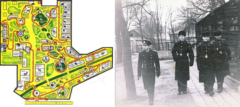 Фотоиллюстрация из первого тома ДМБовского альбома автора: 09 января 1972 года. Калининградский зоопарк. Очень уставшие, находившиеся «вусмерть», моряки БЧ-1 БПК «Бодрый» обходят по маршруту, указанному на схеме, территорию Калининградского зоопарка. Командир БЧ-1, лейтенант Палкин, недовольно торопит нас на корабль, поэтому фотография получилась «путевая», на ходу. Это путешествие по Калининграду было моей инициативой и моим ответным "подарком" личному составу БЧ-1 БПК "Бодрый", потому что я обещал всем сделать памятные фотографии и угощал всех пирожными и кофе в городском кафе. Кстати, все мои фотографии этого события - это брак фотопечати и остатки, все хорошие фотографии я раздал ребятам.
