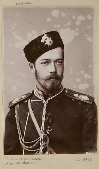 Цесаревич Николай Александрович. 1892 год