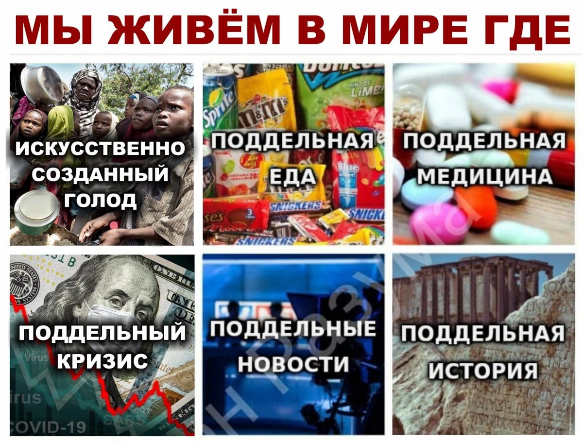 Мир в котором я живу