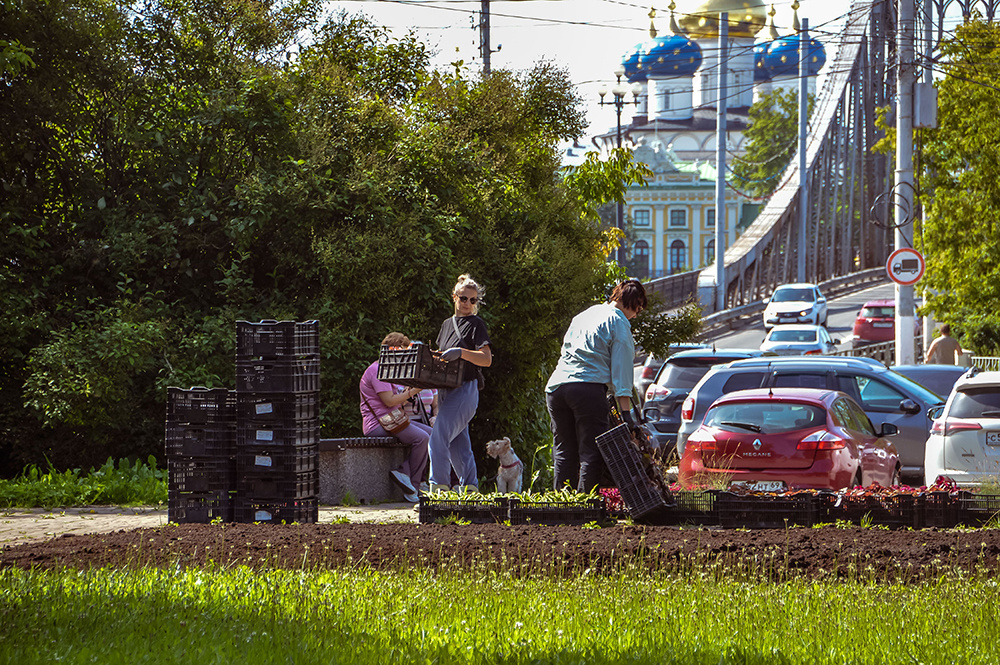 Тверь хорошеет на глазах. В парках и скверах – новые цветники