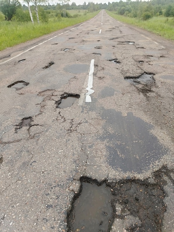 фото: vk.com/rzhevmokrug