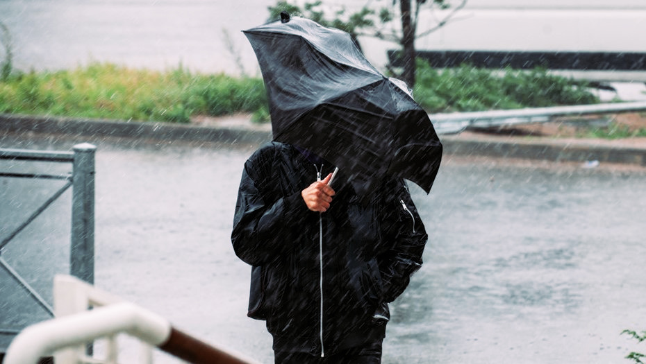    Фото: Сергей Ермохин/ Деловой Петербург