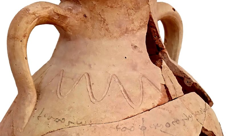 Фото: предоставлено Мирали Замоном Каримдодзода - руководителем археологической экспедиции на памятнике Халкаджар, 2025 г.