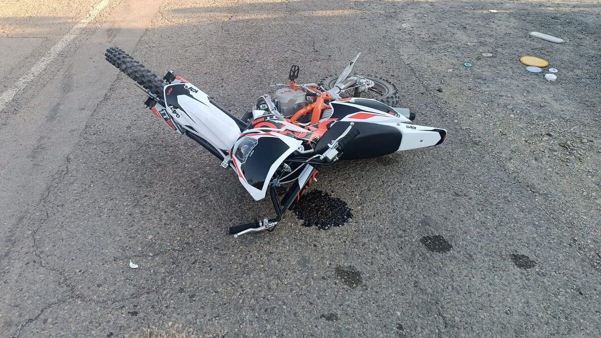    Фото: t.me/mvd_23