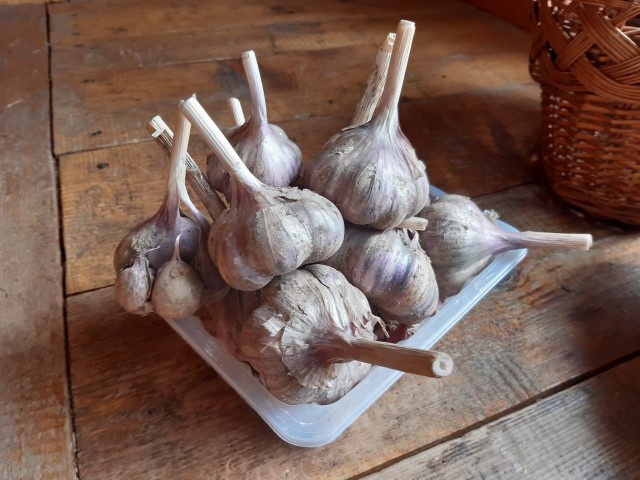 фото из собственного архива