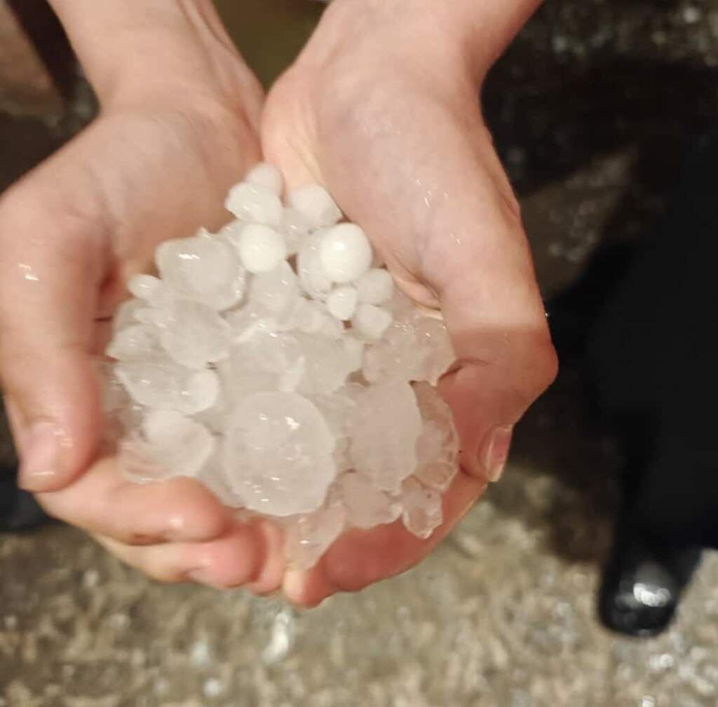    Фото: "Веселовские вести" Веселовские вести