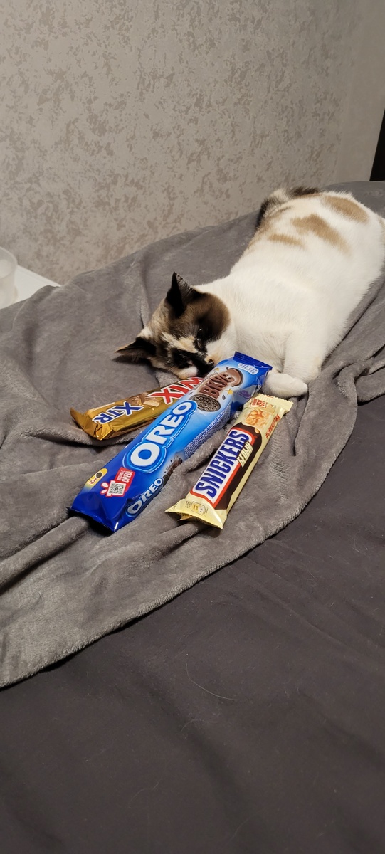 Постоянно брал вкусняхи себе и ей)