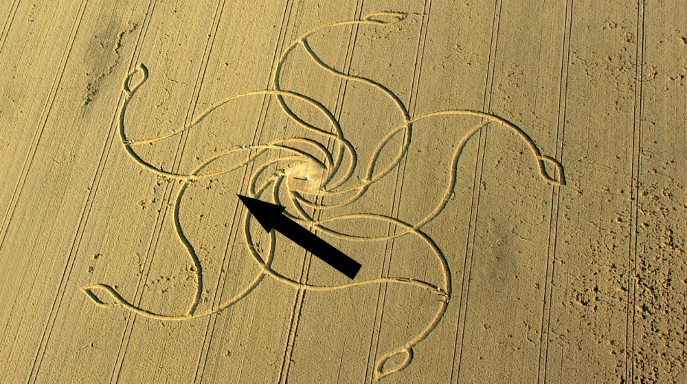    Сорняки рисуют тайные круги там где их не должно быть