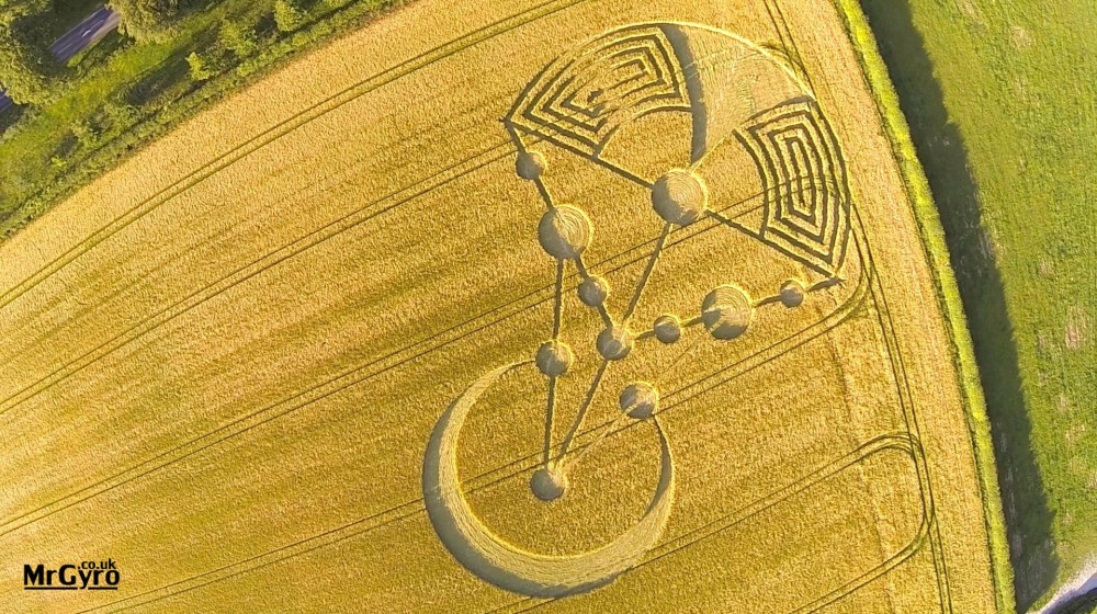    Сорняки рисуют тайные круги там где их не должно быть