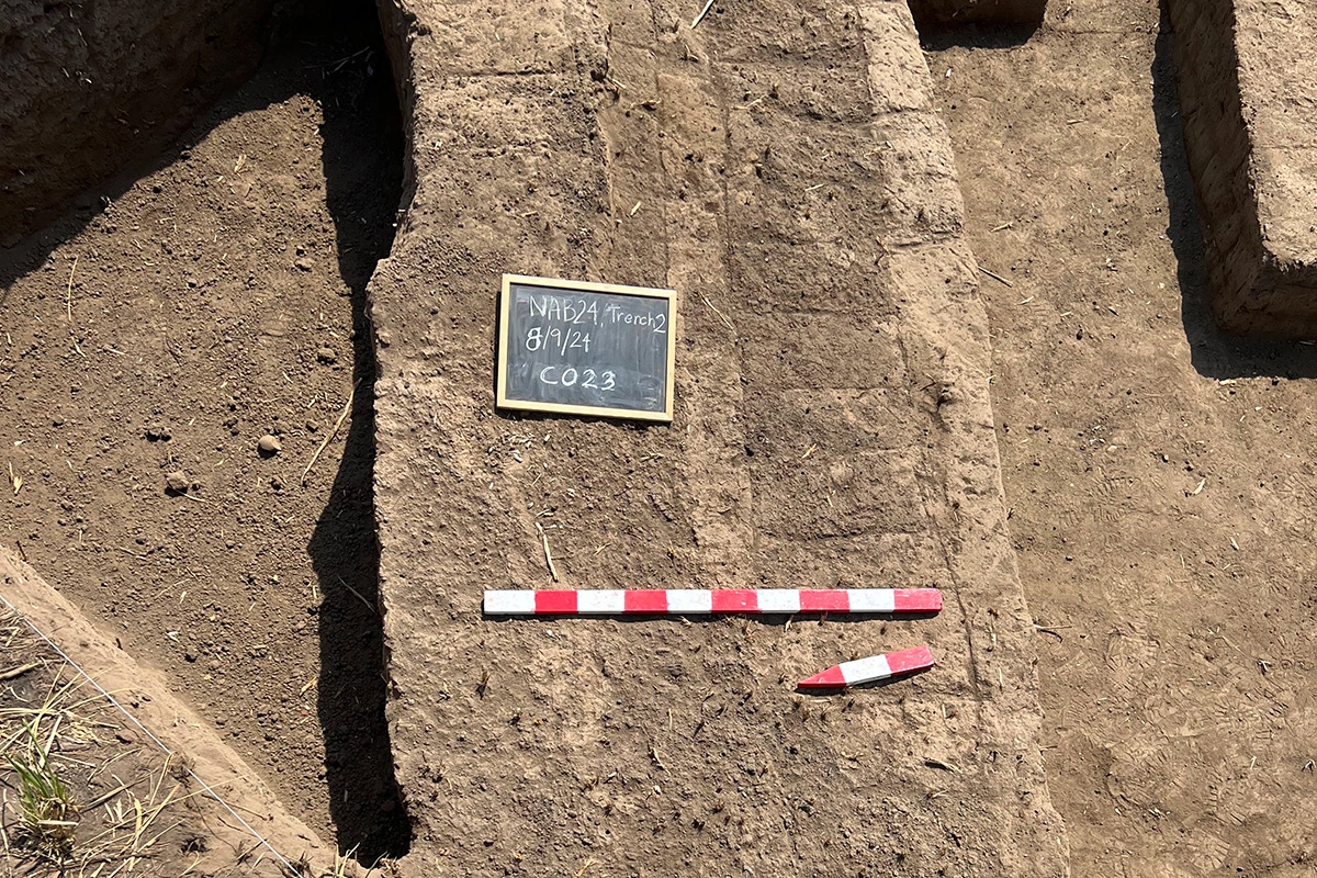 Фото: The University of Manchester Остатки города времен Древнего Египта — Имет