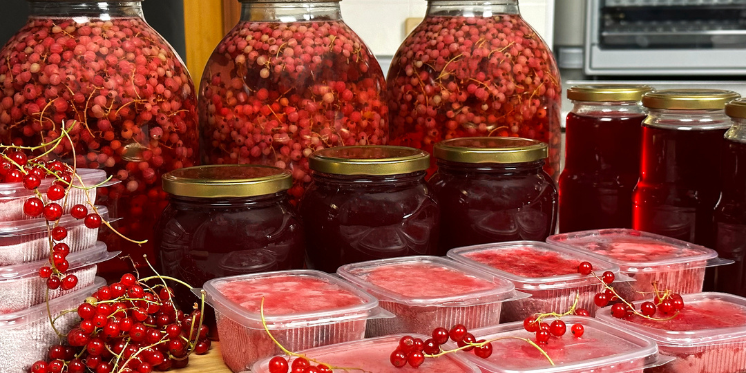 Повторяю каждый год: 11 самых лучших РЕЦЕПТОВ заготовки красной смородины от канала "Сейчас Приготовим!"