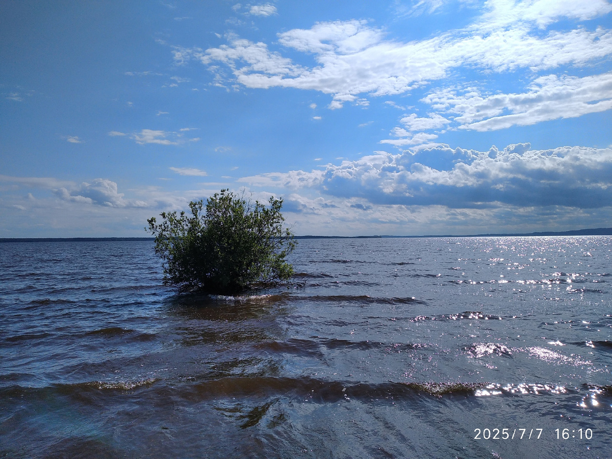 (все фотографии в галерее мои)