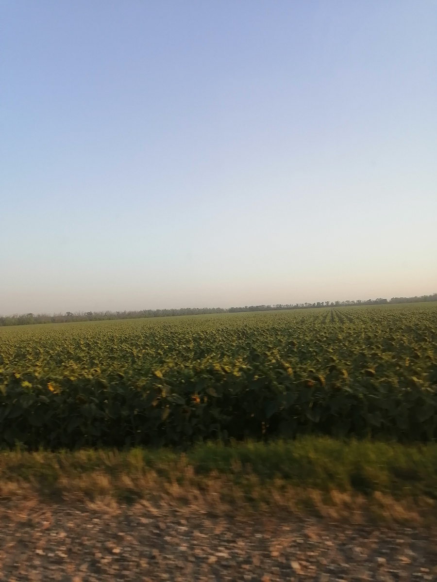 Бескрайние поля.