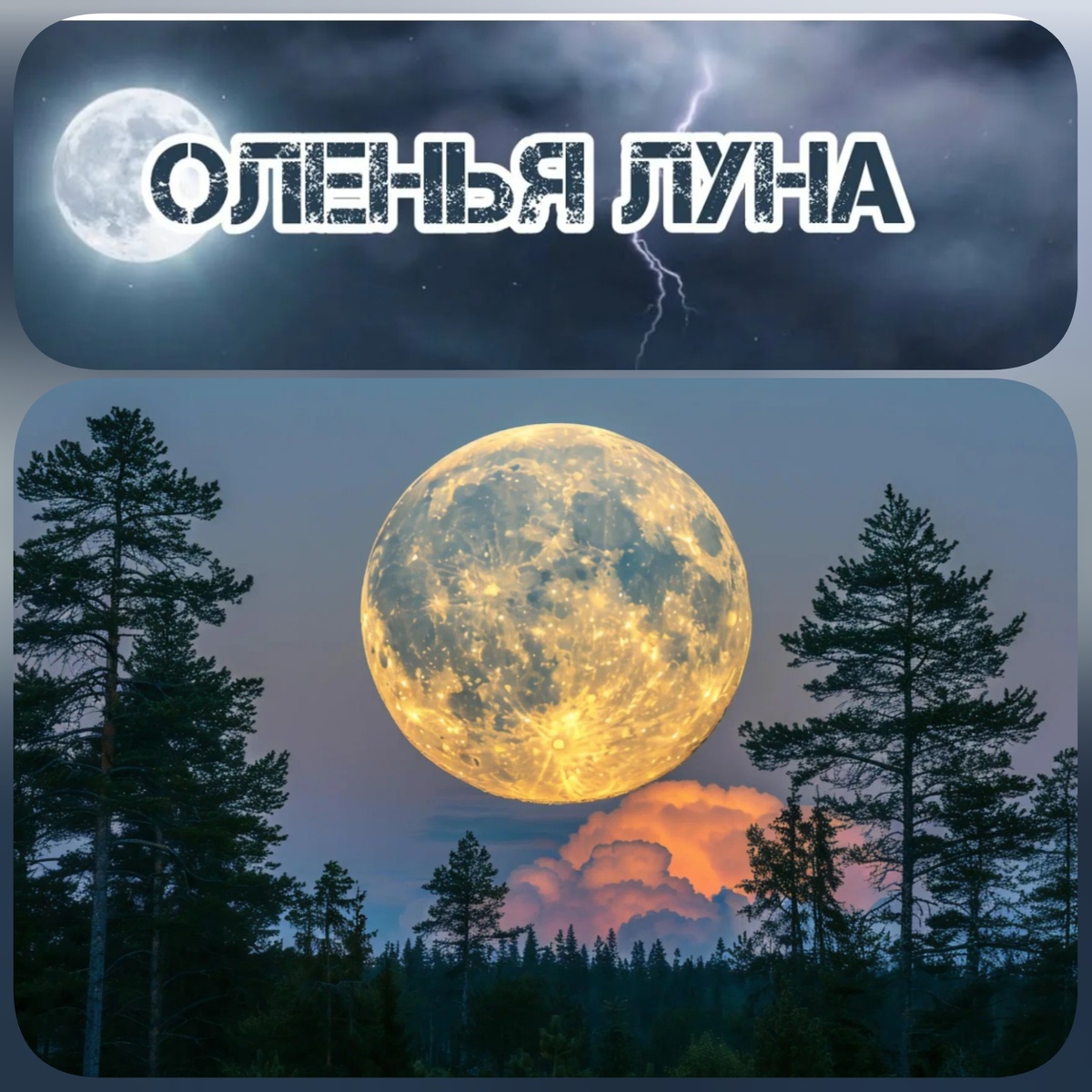 Все коллажи в статье авторские