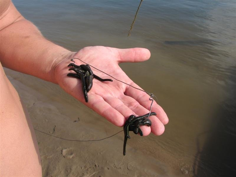 Фото с сайта: https://avatars.dzeninfra.ru