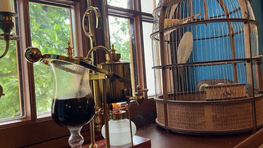 Сифонная кофеварка в «Столичном Городе» в Старой Руссе и трактирная канарейка