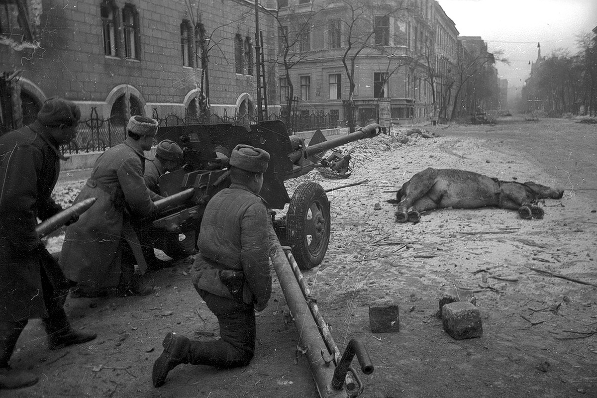 ЗиС-3, Венгрия, Будапешт, январь-февраль 1945 года. Фотография © Евгений Халдей