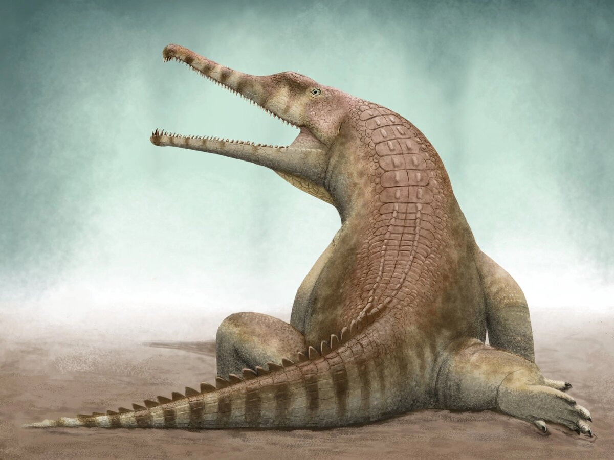 – Всмысле статья не про меня!?