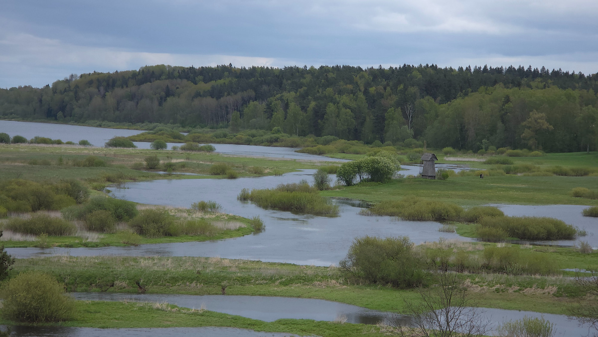 Вид на Мельницу в Михайловском