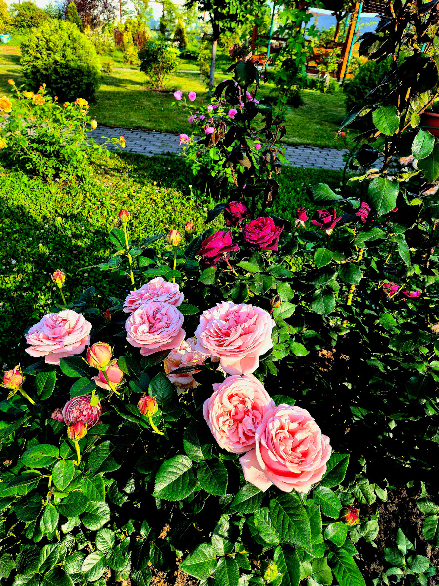 Знойный июльский день