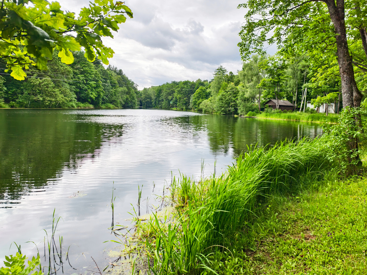 Река Крапивня 