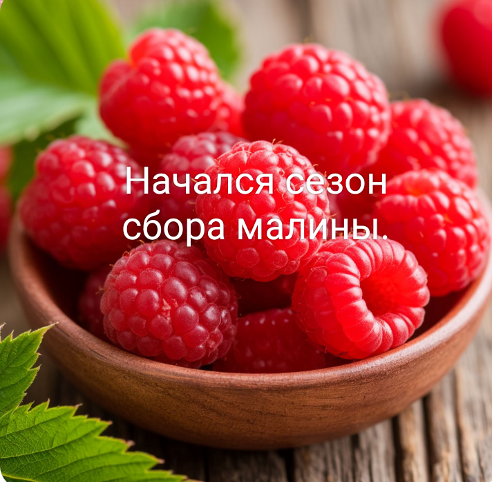 Малина с нашего огорода.