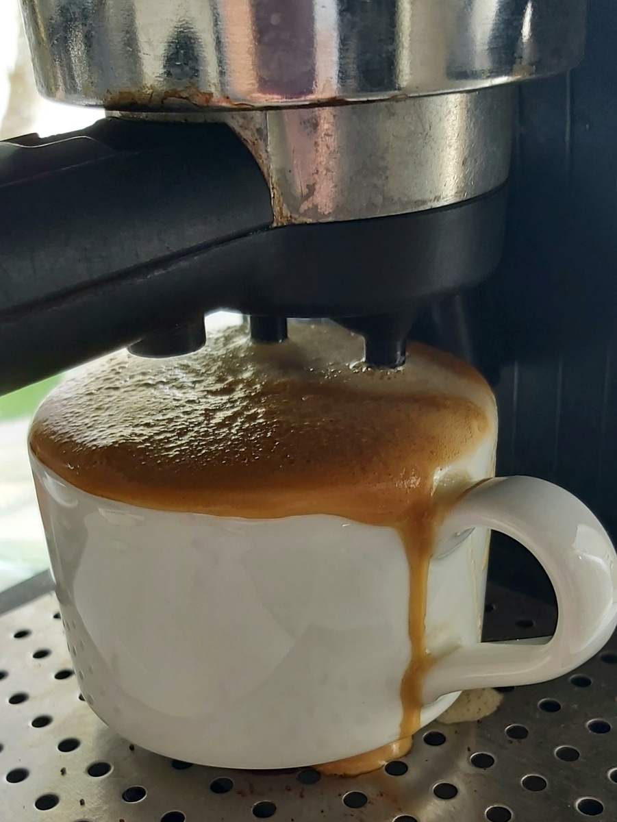 Бегун кофейный