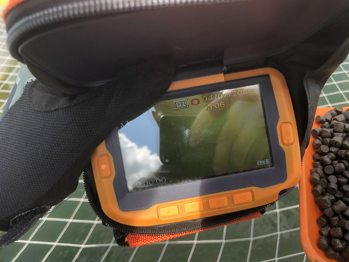 Фото: Илья Соколов