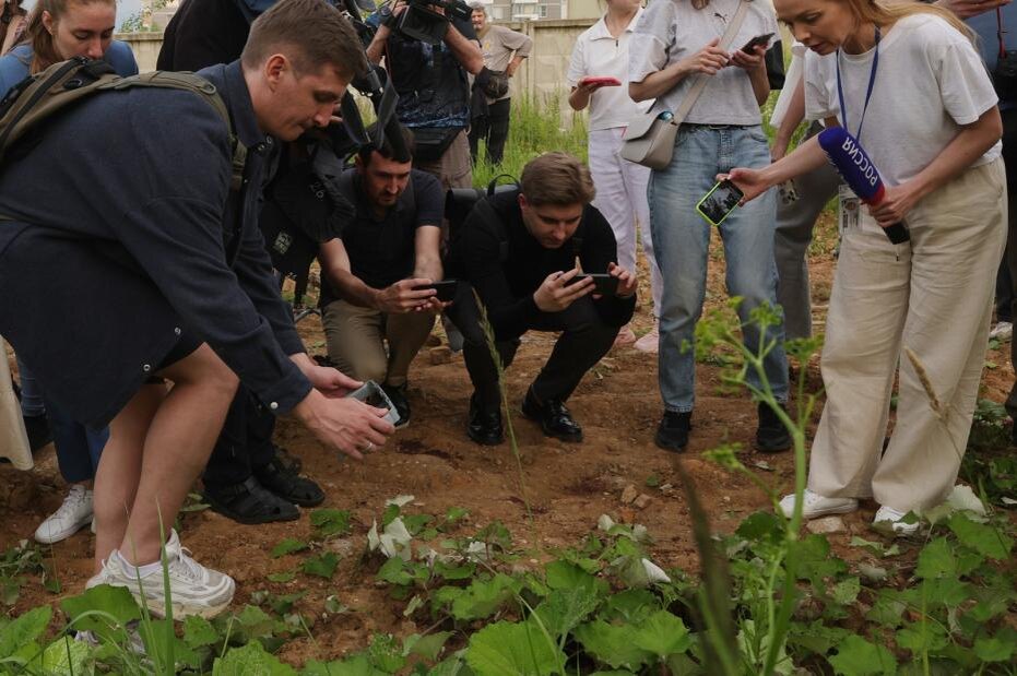    Наталья Шатохина/NEWS.ru