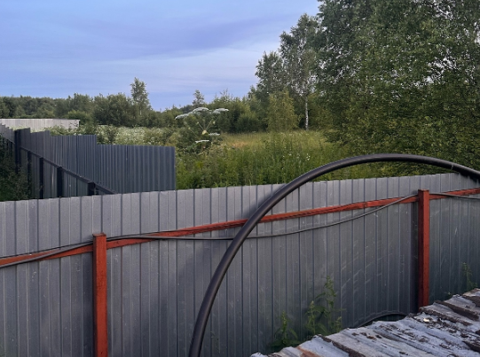 Ужасный борщевик за участком