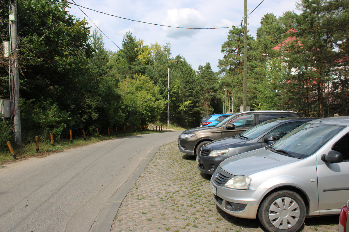 Парк «Моховые горы». Фото автора канала