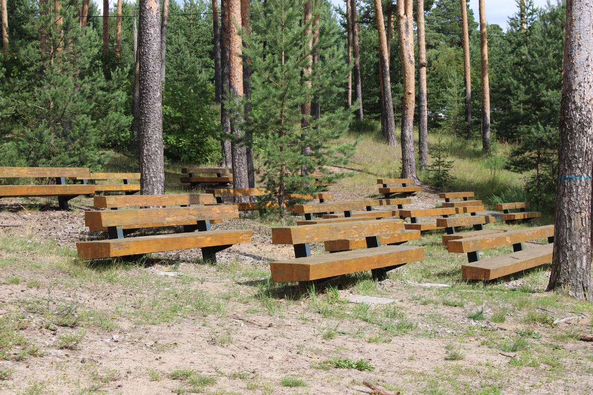 Парк «Моховые горы». Фото автора канала