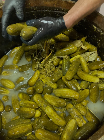 Огурцы в бочке долго хранятся! 