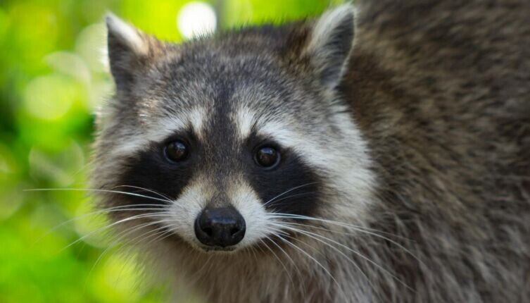     Фото: Vincent Dörig on Unsplash