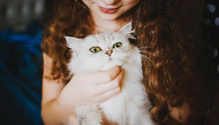     Фото: по лицензии CC0 Pxhere.com