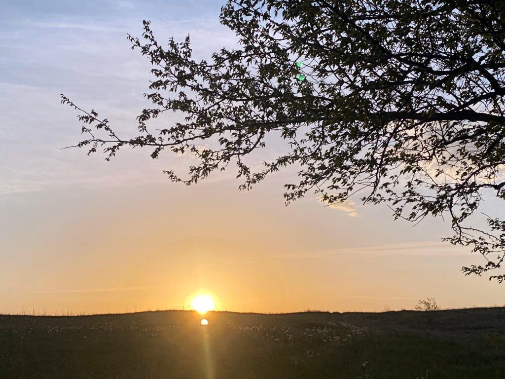   Фото: Е. Богачева. Галина Ященко