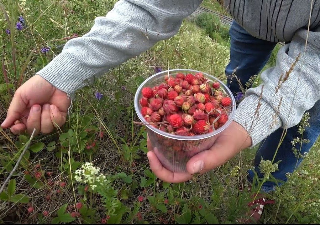 Фото: Яндекс Картинки