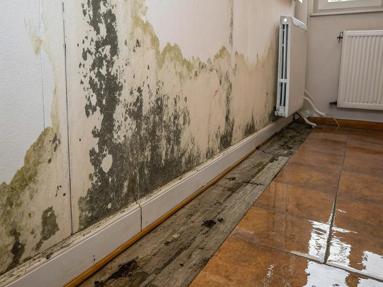     Скрытая утечка воды —это потенциально серьёзная угроза для вашего бюджета и безопасности. Однако при внимательном отношении и своевременной диагностике её можно предотвратить.