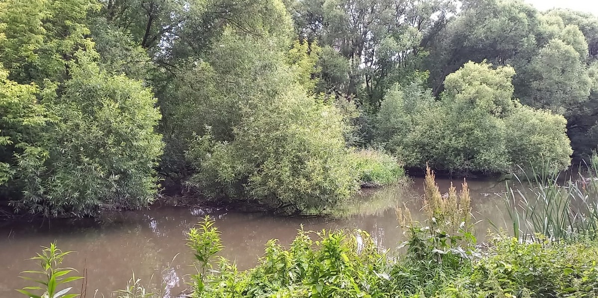 В статье все фото автора.