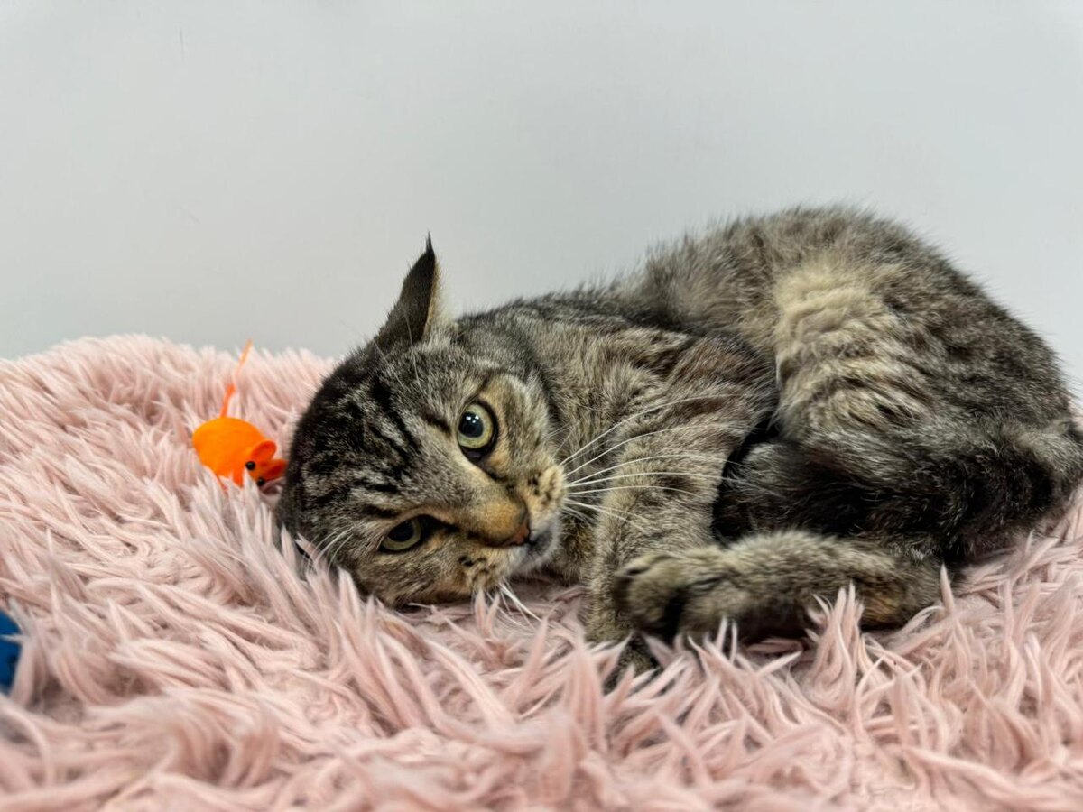 Русик в клинике 